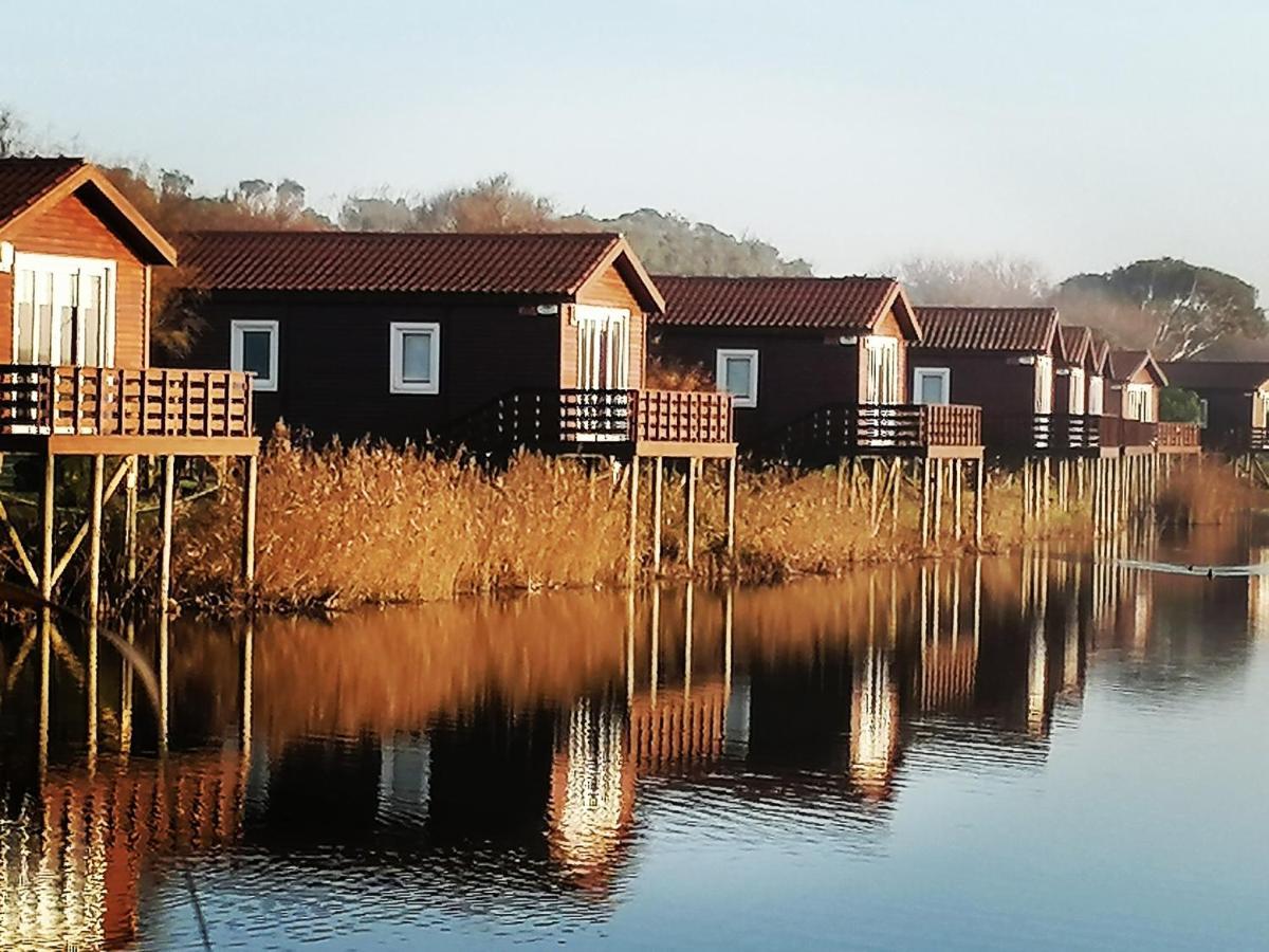 Barrinha_Village Praia de Mira Exteriör bild
